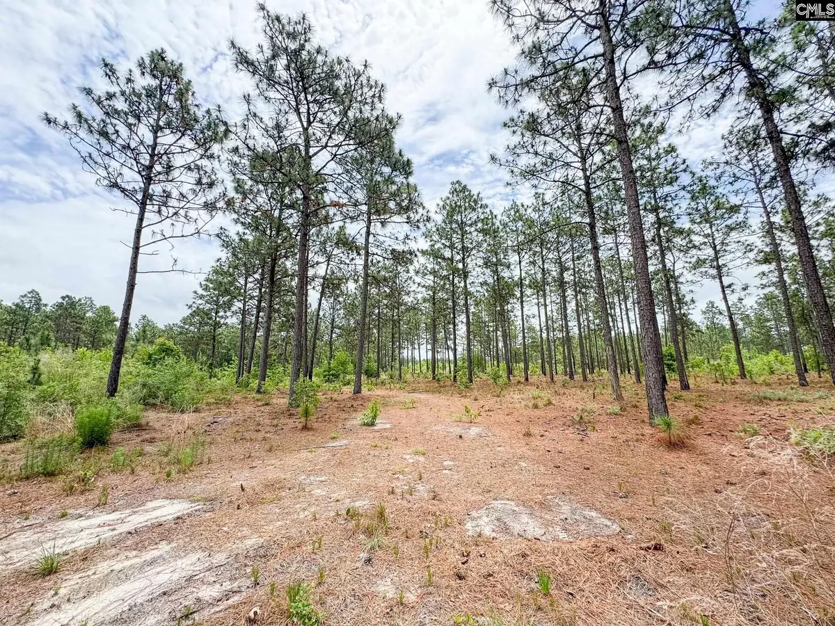 0 Neely Wingard Road #Lot 4, Gilbert, SC 29054 - #1