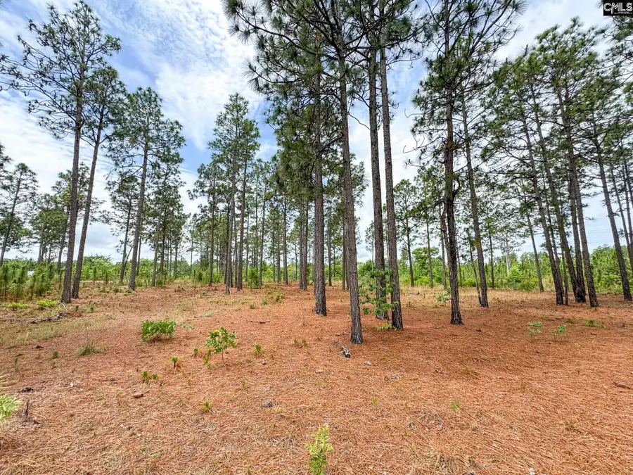 0 Neely Wingard Road #Lot 4, Gilbert, SC 29054 - #3