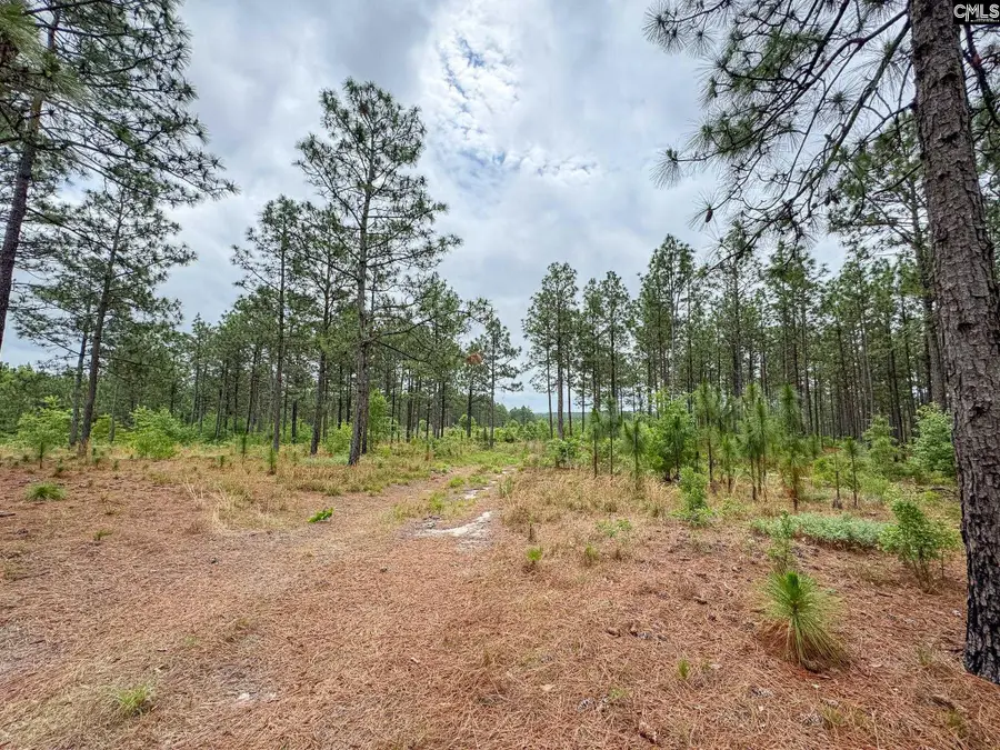 0 Neely Wingard Road #Lot 5, Gilbert, SC 29054 - #3