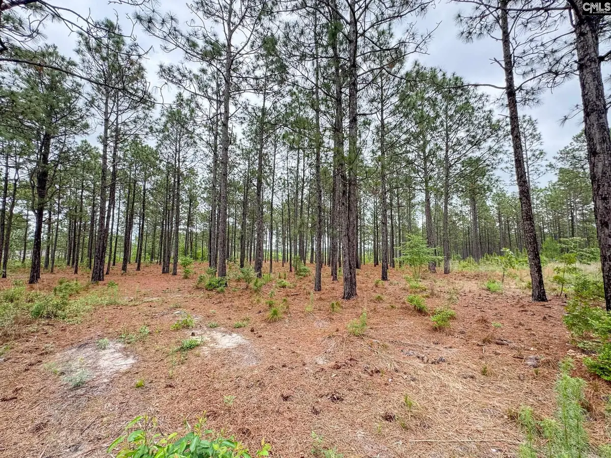 0 Neely Wingard Road #Lot 6, Gilbert, SC 29054 - #1
