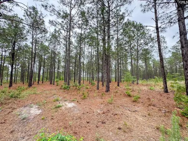 0 Neely Wingard Road #Lot 6, Gilbert, SC 29054
