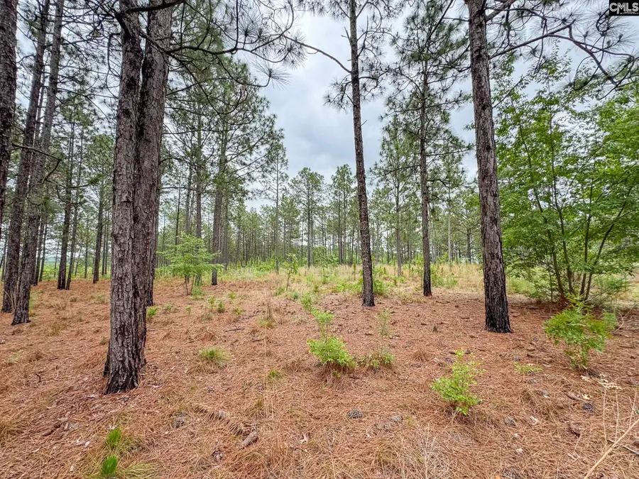 0 Neely Wingard Road #Lot 6, Gilbert, SC 29054 - #3