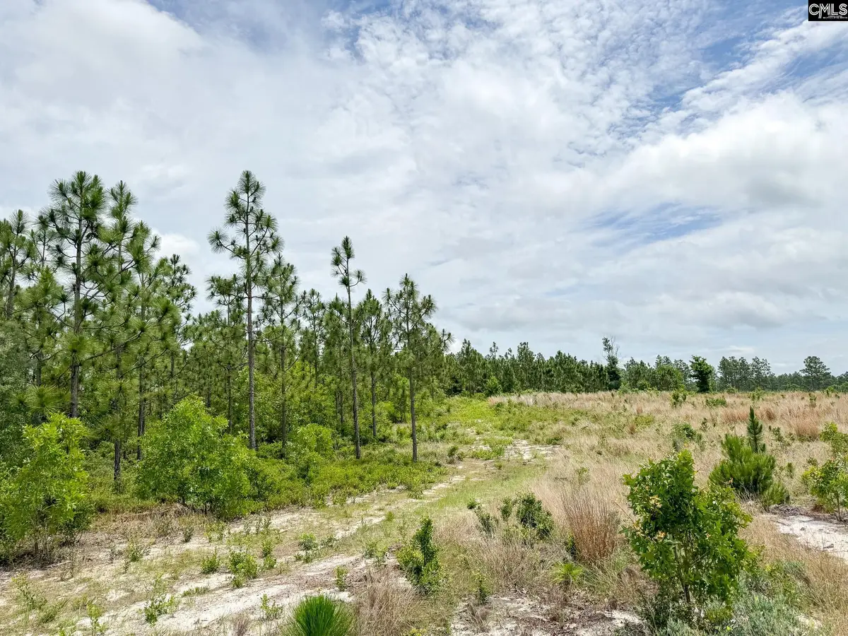 0 Neely Wingard Road #Lot 8, Gilbert, SC 29054 - #1