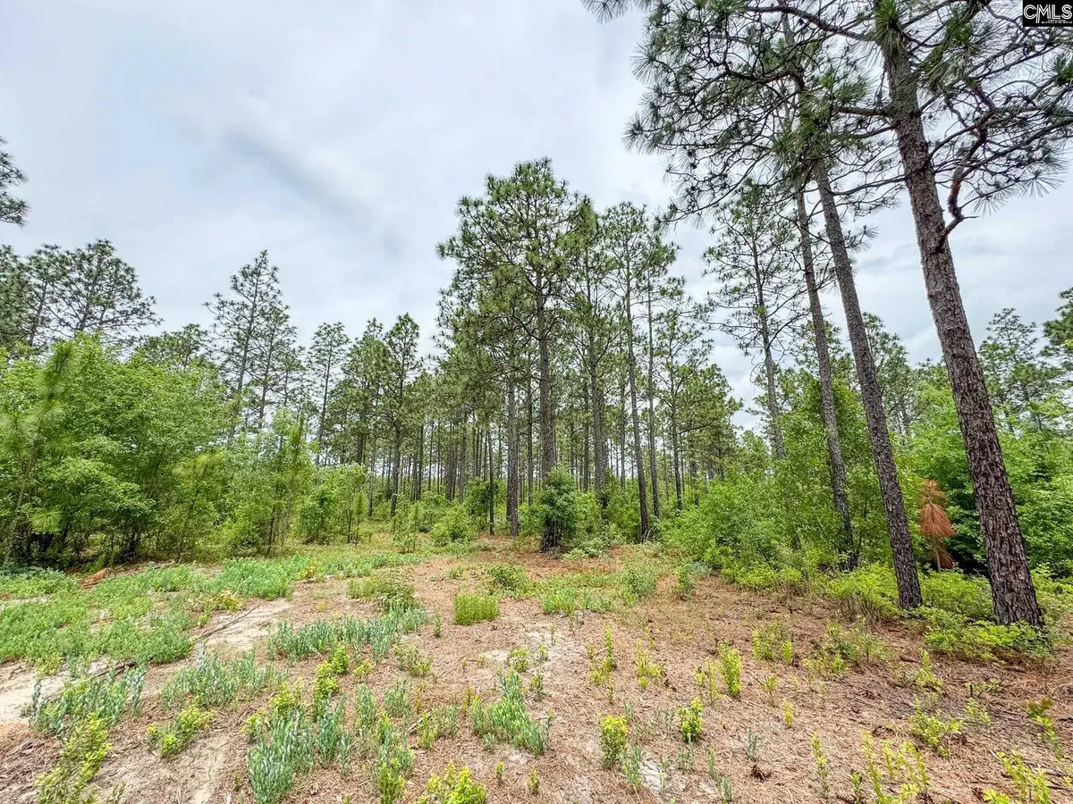 0 Neely Wingard Road #Lot 9, Gilbert, SC 29054 - #1