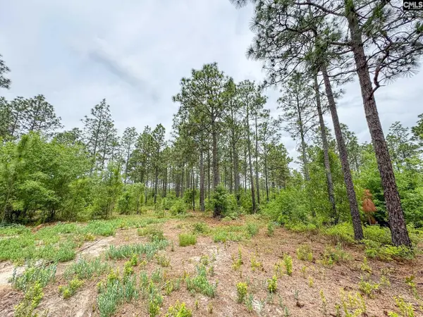 0 Neely Wingard Road #Lot 9, Gilbert, SC 29054
