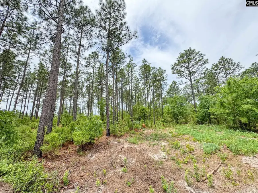 0 Neely Wingard Road #Lot 9, Gilbert, SC 29054 - #3