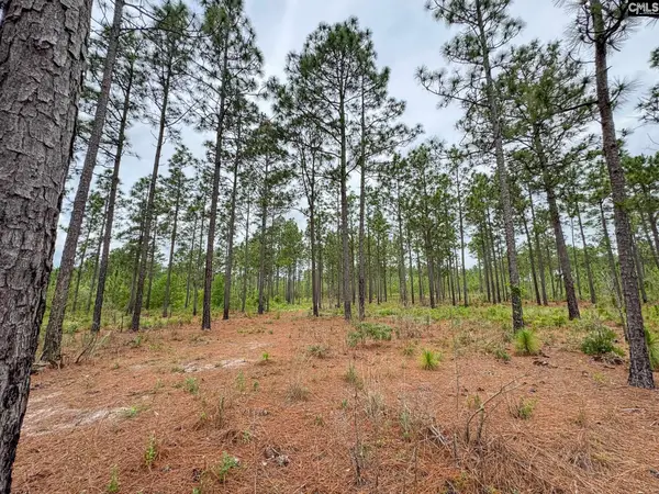 0 Neely Wingard Road #Lot 10, Gilbert, SC 29054
