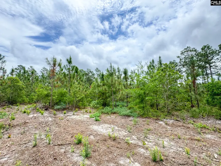 0 Neely Wingard Road #Lot 10, Gilbert, SC 29054 - #3