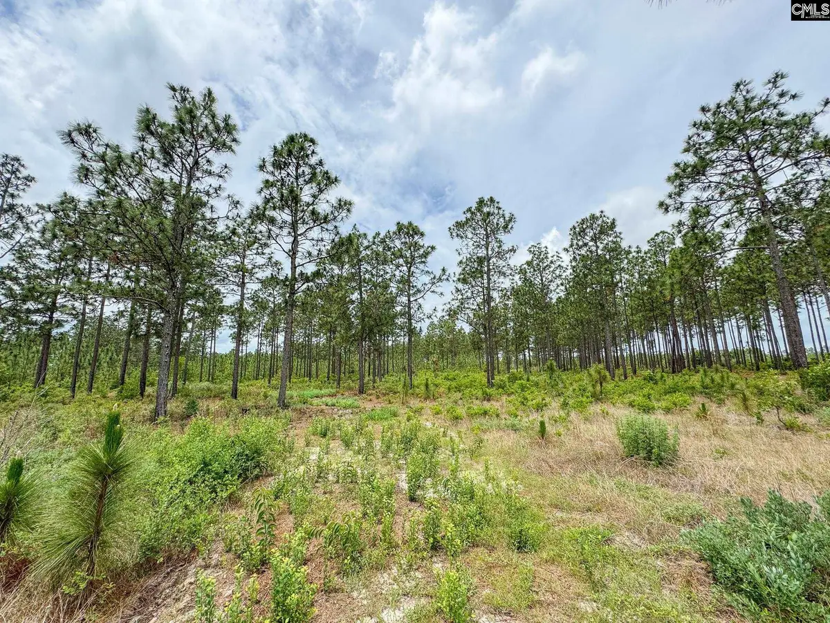 0 Neely Wingard Road #Lot 11, Gilbert, SC 29054 - #1