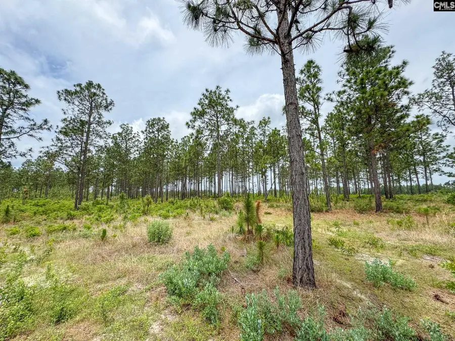0 Neely Wingard Road #Lot 11, Gilbert, SC 29054 - #3