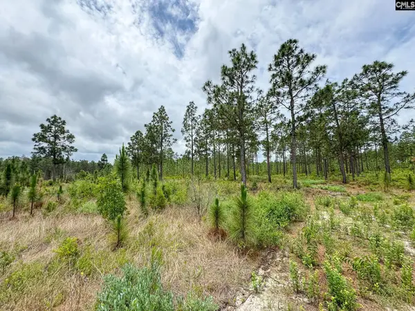 0 Neely Wingard Road #Lot 12, Gilbert, SC 29054