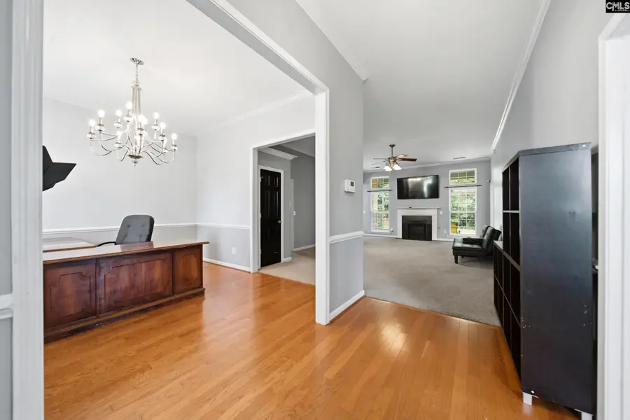 204 Baneberry Loop, Lexington, SC 29073 - #3