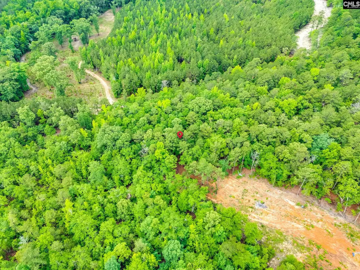 612 Toms Creek Road, Hopkins, SC 29061 - #1
