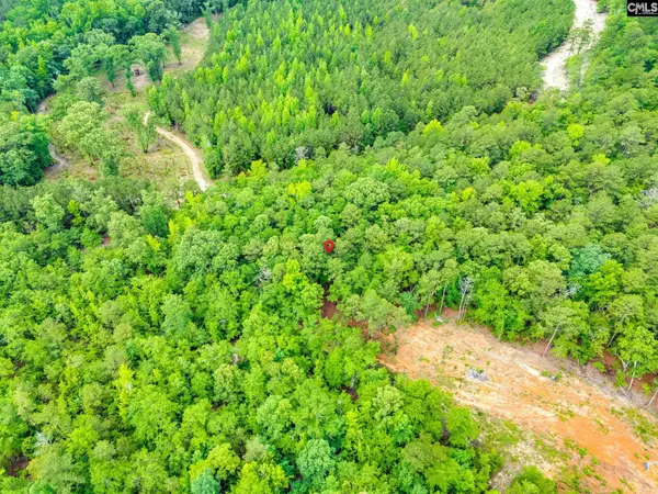 612 Toms Creek Road, Hopkins, SC 29061