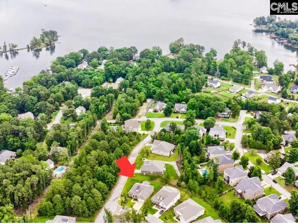 424 Lombard Way, Chapin, SC 29036 - #1