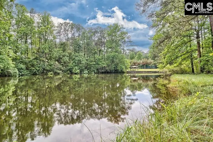 18 Upper Pond Road, Columbia, SC 29223 - #2