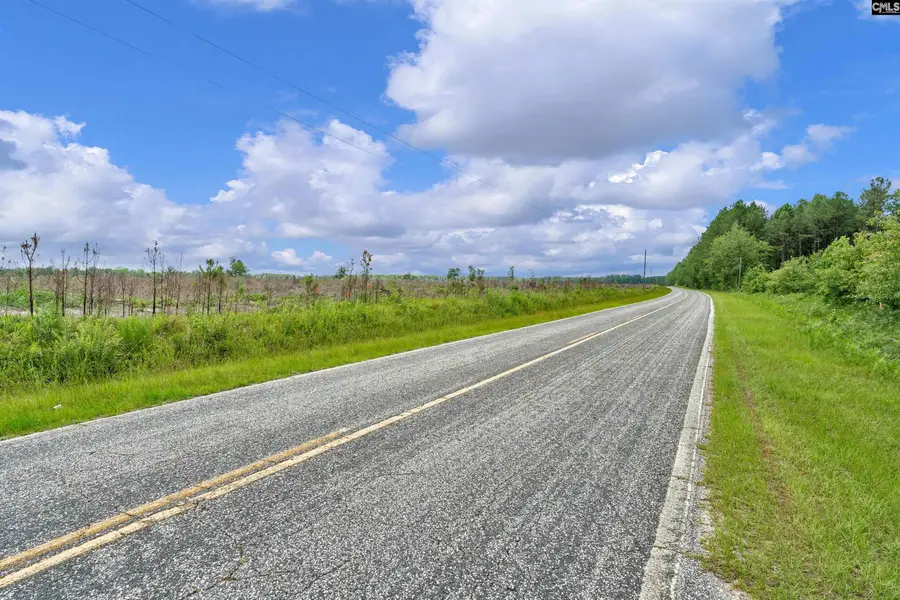0000 N Brewington Road #2, Manning, SC 29102 - #2
