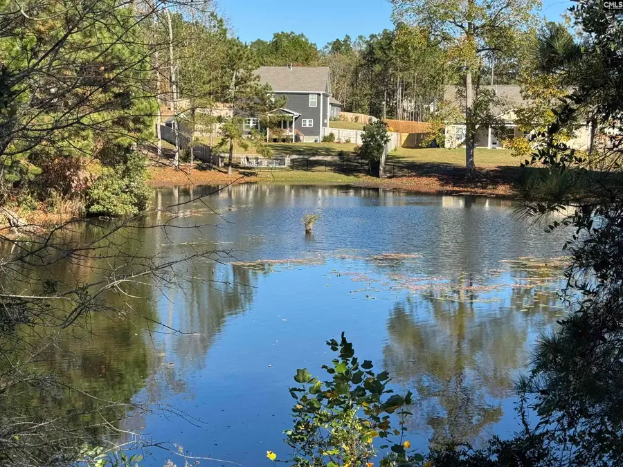 225 Shadowbrook Way, Camden, SC 29020 - #3
