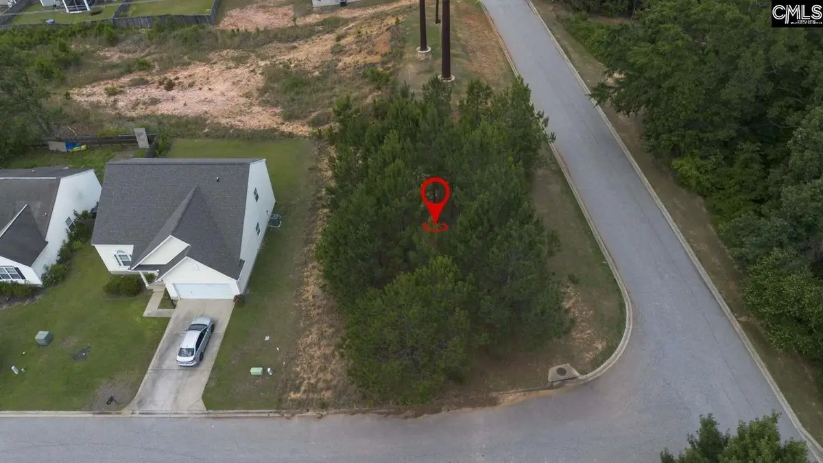 204 Cascade Court, Lexington, SC 29072 - #1