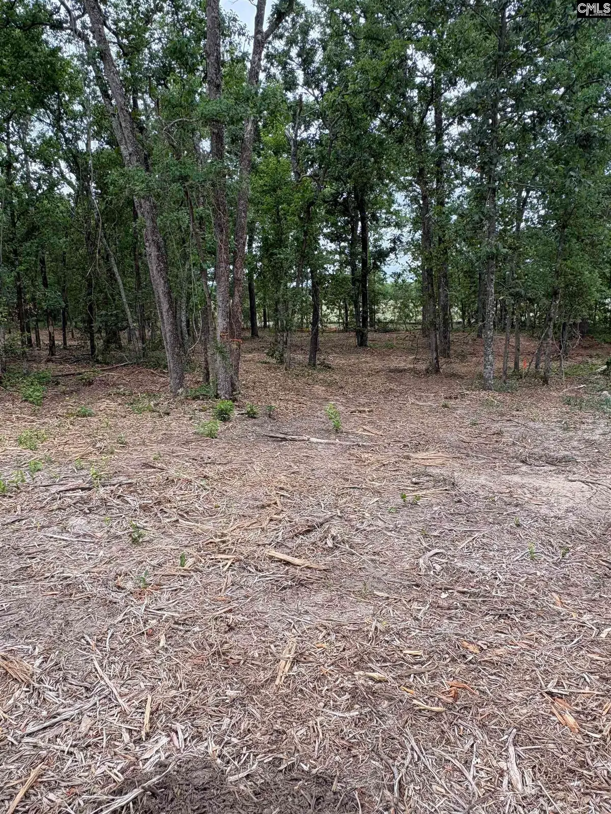 Lot 1 Quattlebaum Drive, Leesville, SC 29070 - #1