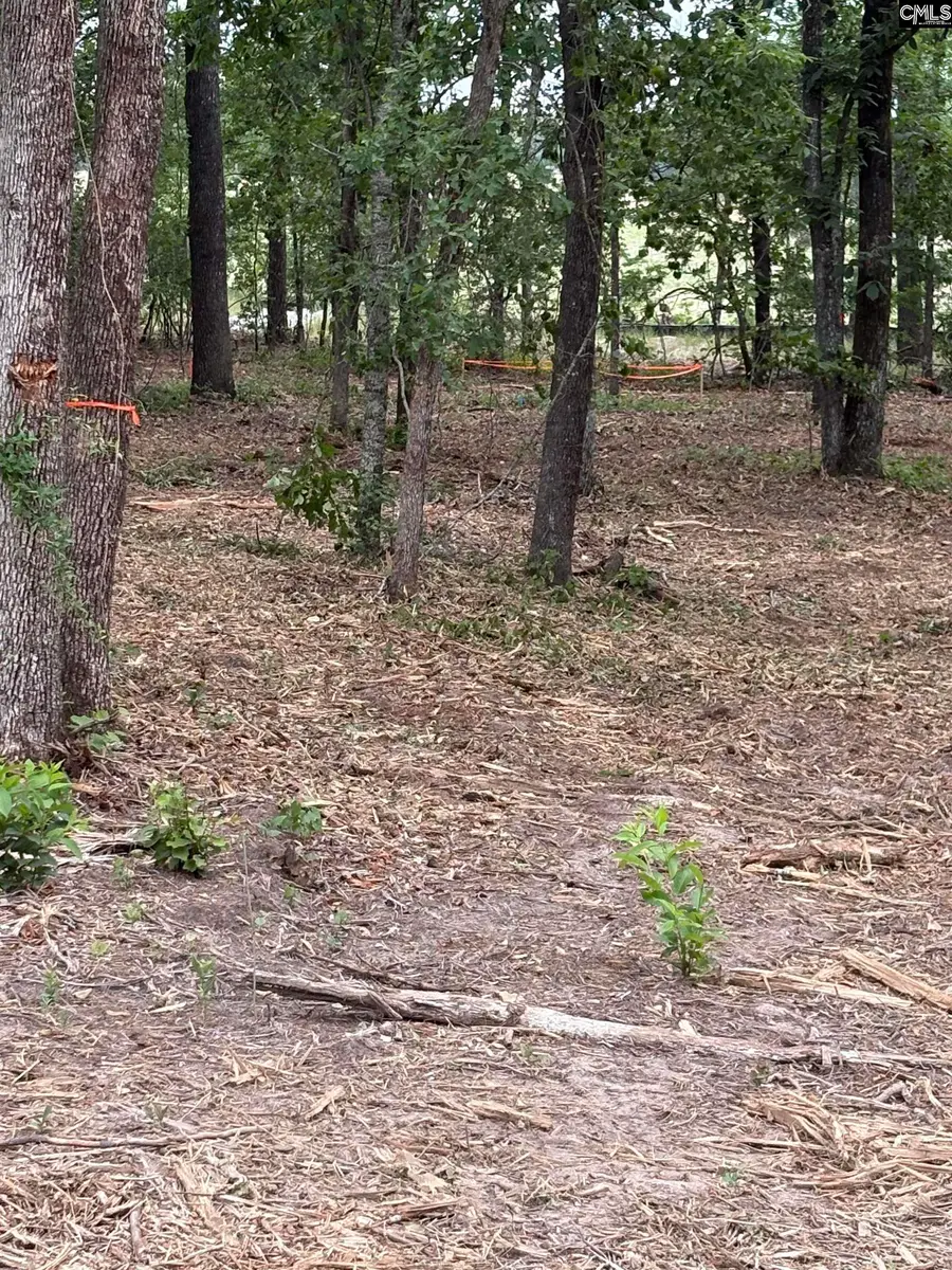 Lot 1 Quattlebaum Drive, Leesville, SC 29070 - #2