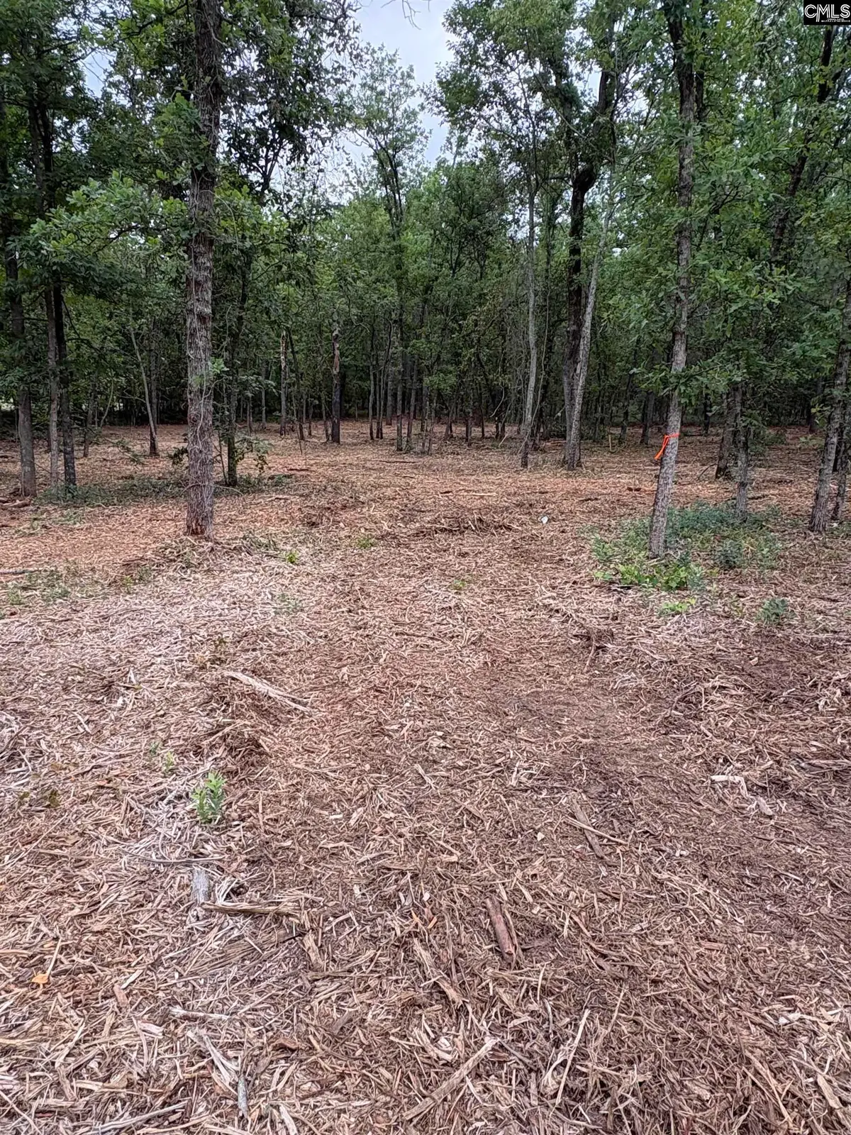 Lot 2 Quattlebaum Drive, Leesville, SC 29072 - #1