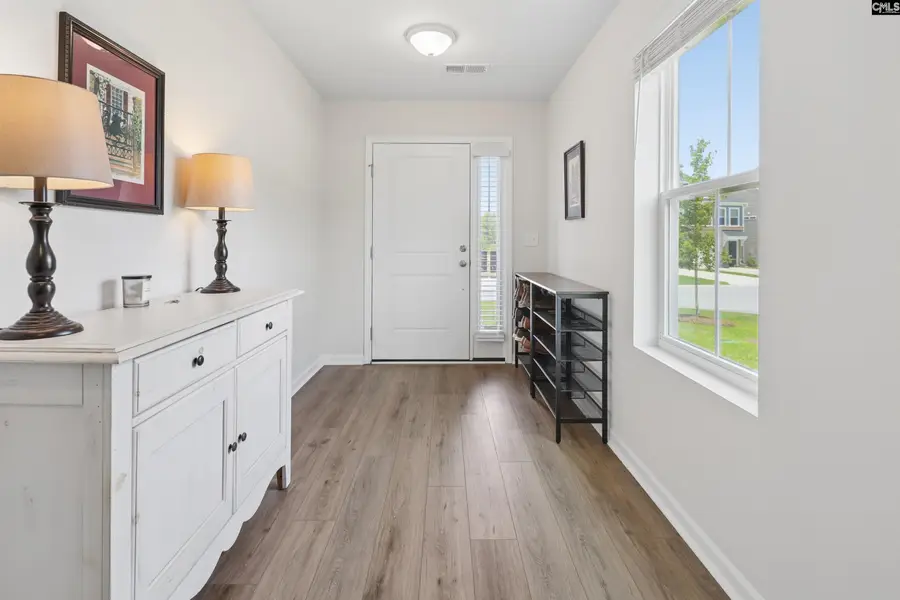 208 Flatsedge Court, Lexington, SC 29072 - #2