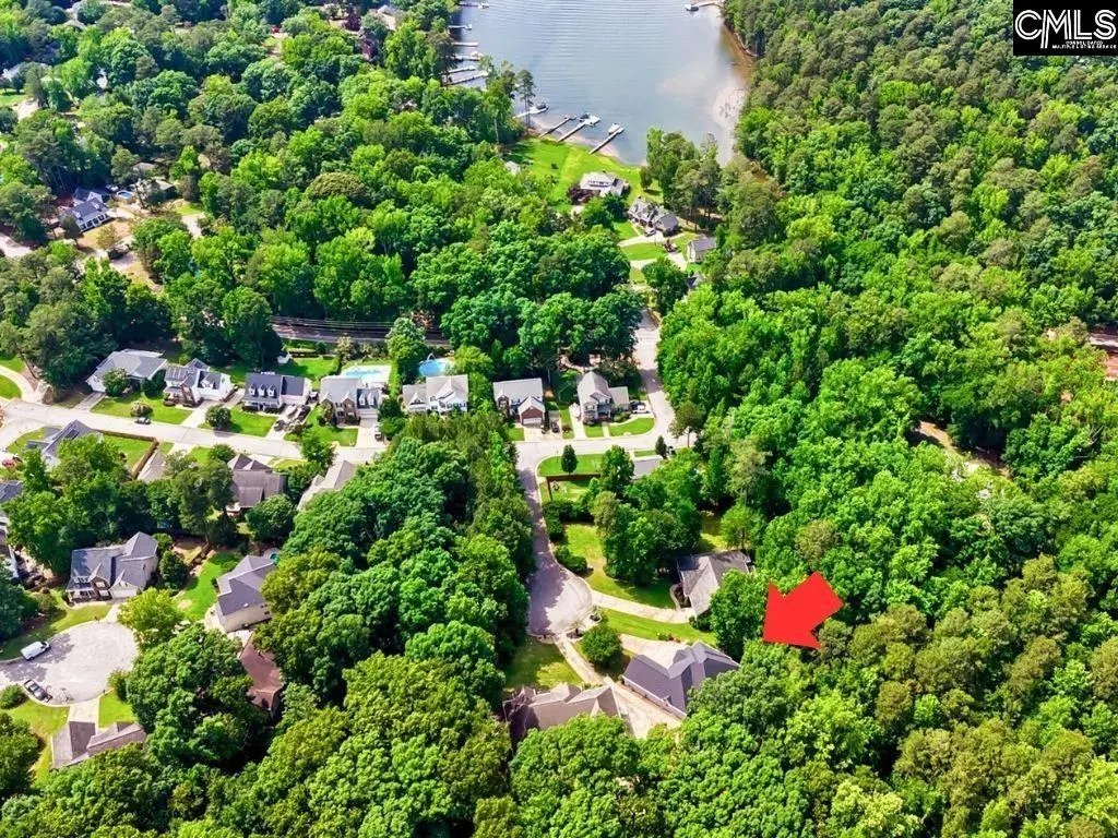 313 Serenity Court, Lexington, SC 29072 - #1