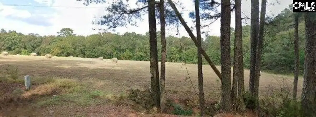137 Drawdebil Road, Gilbert, SC 29054 - #1