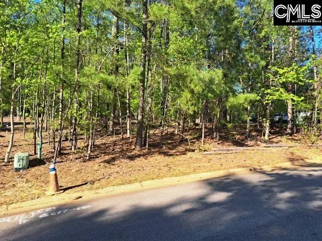 512 Links Pointe Court, Chapin, SC 29036 - #1