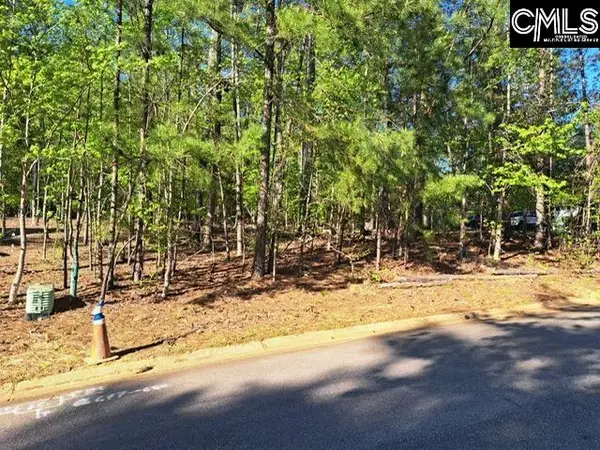 512 Links Pointe Court, Chapin, SC 29036