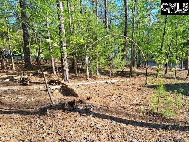 512 Links Pointe Court, Chapin, SC 29036 - #2