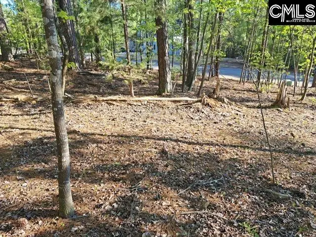 512 Links Pointe Court, Chapin, SC 29036 - #3