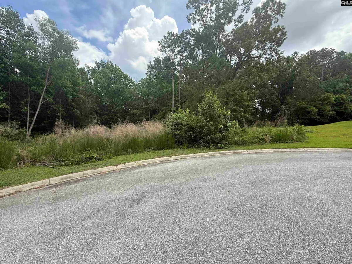 243 Fair Ridge Lane, Blythewood, SC 29016 - #1