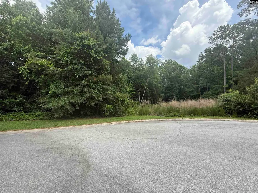 243 Fair Ridge Lane, Blythewood, SC 29016 - #2