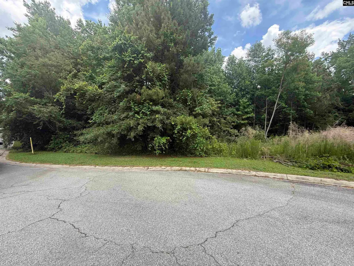 239 Fair Ridge Lane, Blythewood, SC 29016 - #1
