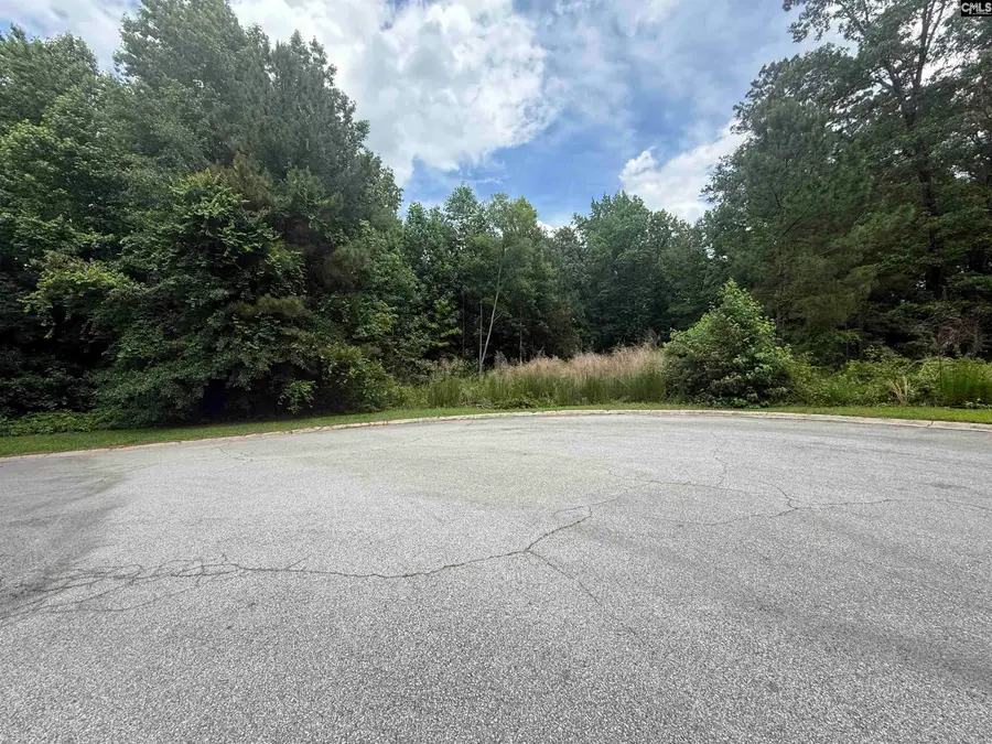 239 Fair Ridge Lane, Blythewood, SC 29016 - #2