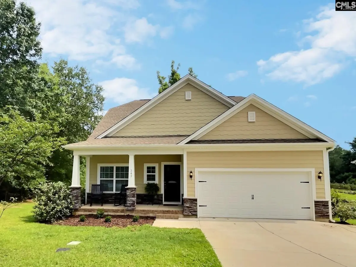 343 Limestone Road, Chapin, SC 29036 - #1