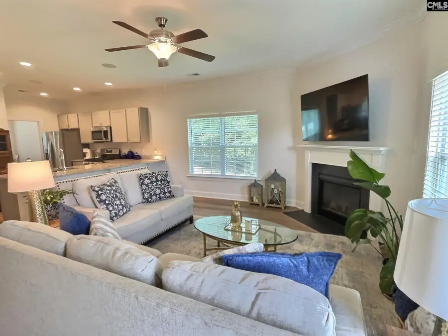 343 Limestone Road, Chapin, SC 29036 - #3
