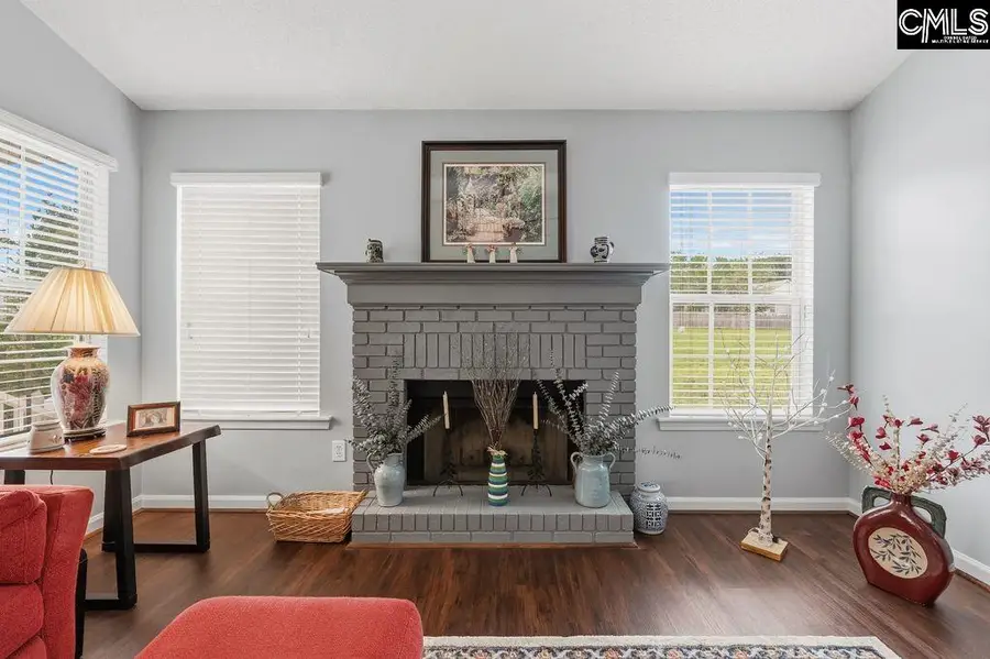 224 Ivy Hill Court, Lexington, SC 29072 - #2