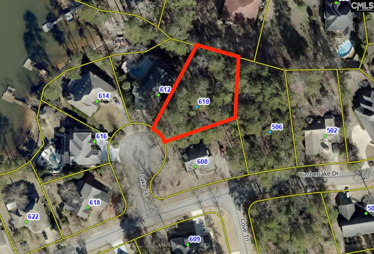 610 Timberlake Drive, Chapin, SC 29036 - #1