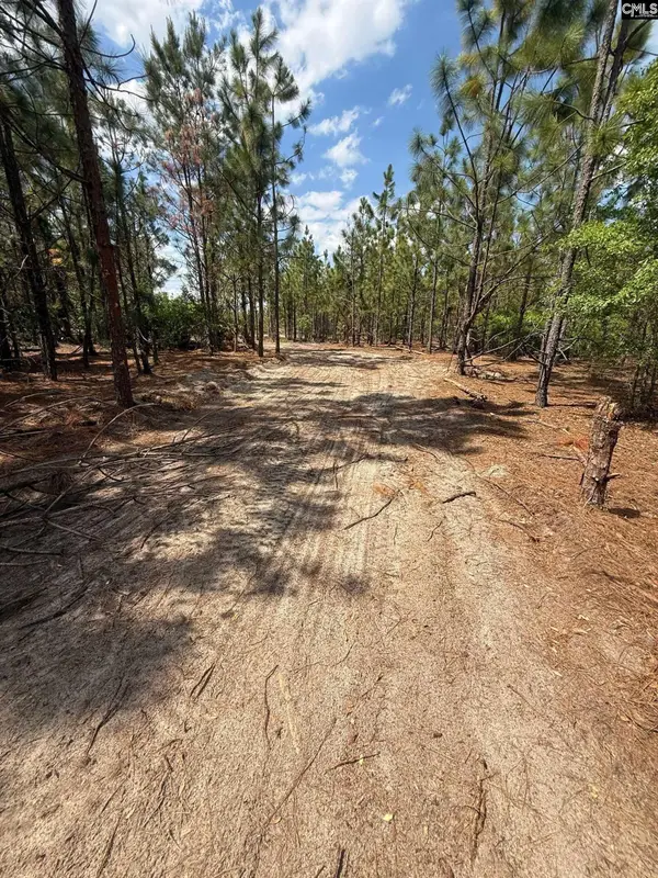 350 Payne Pond Road #Lot  11, Westville, SC 29175