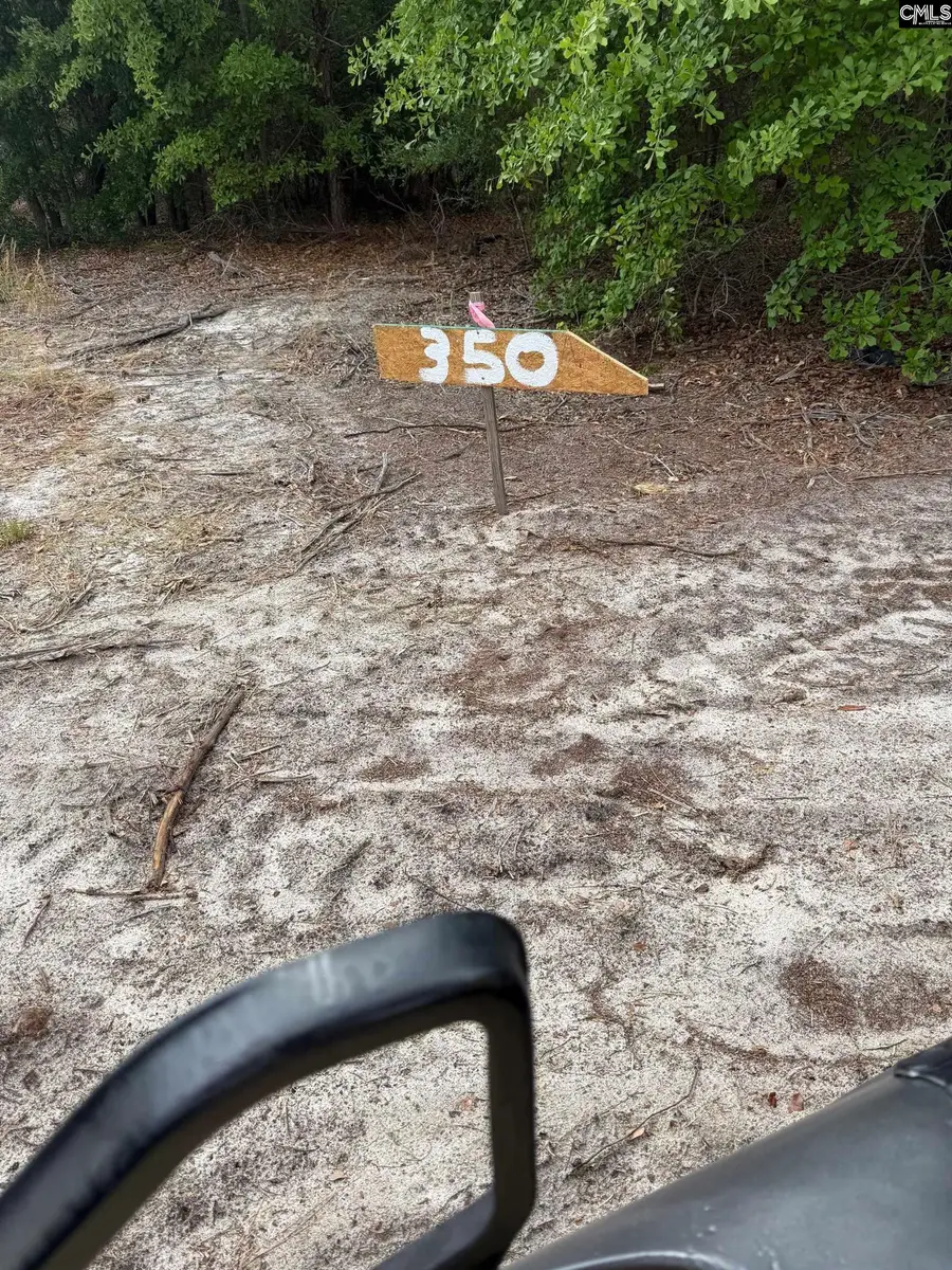 350 Payne Pond Road #Lot  11, Westville, SC 29175 - #2