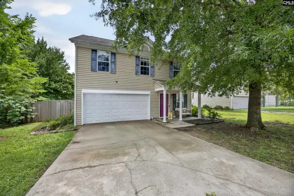 371 Eagle Pointe Drive, Chapin, SC 29036