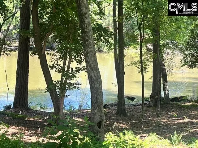 133 Lands End Lane, Prosperity, SC 29127 - #1