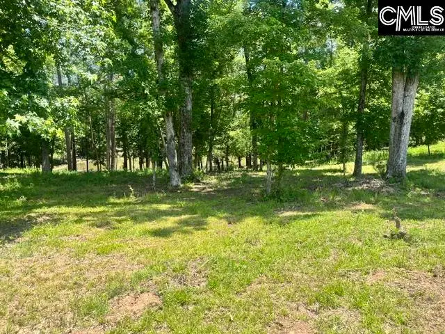 133 Lands End Lane, Prosperity, SC 29127 - #2