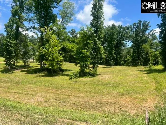 133 Lands End Lane, Prosperity, SC 29127 - #3