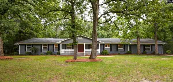 412 Murray Lindler Road, Chapin, SC 29036