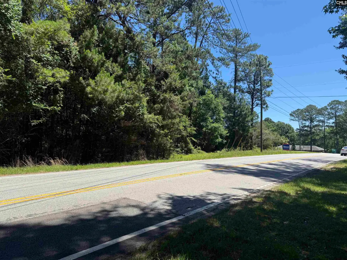 0 Corely Mill Road, Lexington, SC 29073 - #1