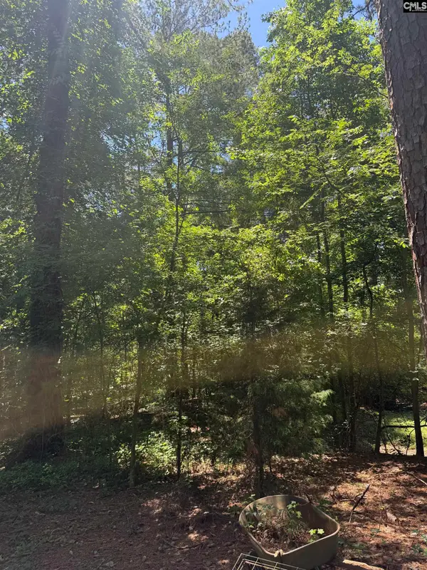 0 Center Drive, Lexington, SC 29073
